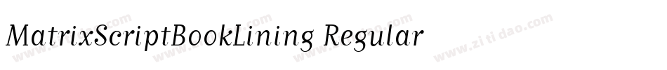 MatrixScriptBookLining Regular字体转换